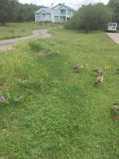 Club «The Club at Garden Ridge», reviews and photos, 21320 Water Wood Dr, San Antonio, TX 78266, USA