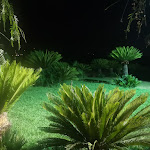 Photo n°7 de l'avis de Giuseppe.e fait le 18/08/2019 à 20:31 sur le  Ristorante Pizzeria Il Forziere à Ascea Marina, Ascea