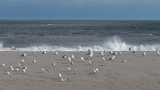 Tourist Attraction «Point pleasant beach», reviews and photos, 18 Trenton Ave, Point Pleasant Beach, NJ 08742, USA