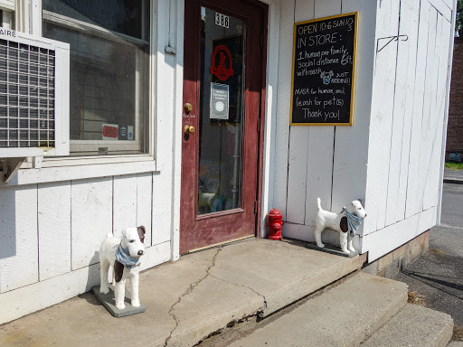 Paws & Tail Pantry, 386 Main St, Rosendale, NY 12472, USA, 