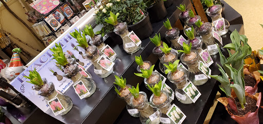 Grocery Store «Weis Markets», reviews and photos, 1238 Putty Hill Ave, Towson, MD 21286, USA