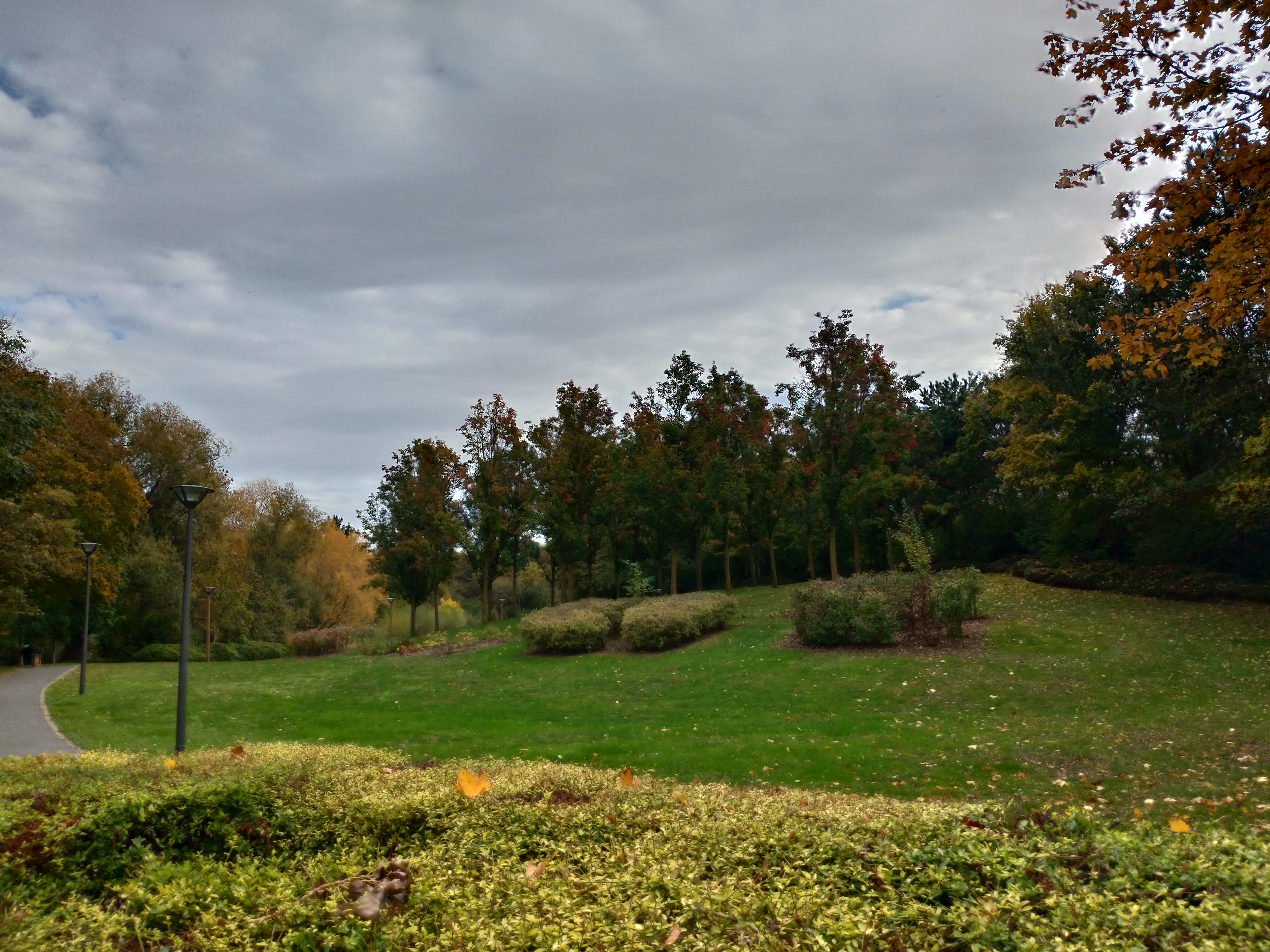 Photo n° 31 de l'avis de Benjamin.e fait le 22/10/2020 à 20:16