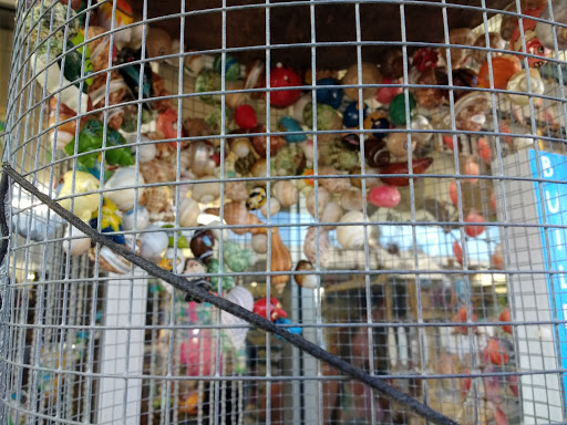 Gift Shop «Beach Pier Gift Shop», reviews and photos, 1415 Atlantic Ave, Virginia Beach, VA 23451, USA