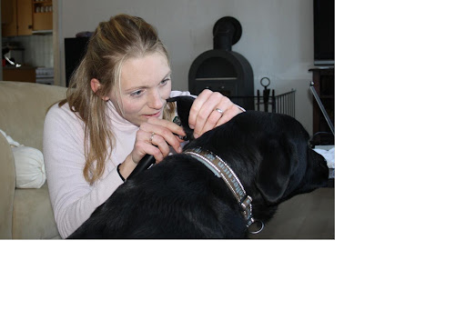 Karina Larsens veterinary medicine Ltd. in Roskilde, Roskilde