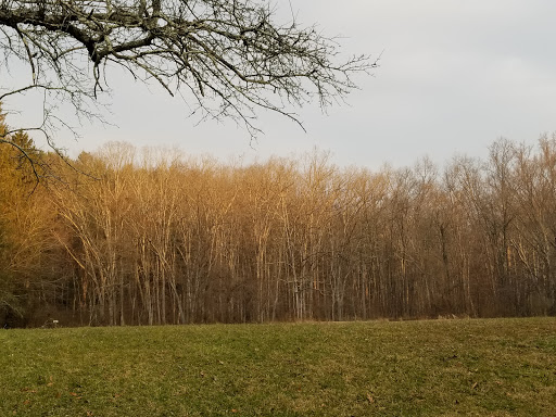 Nature Preserve «Strawberry Hill Nature Preserve», reviews and photos, 1537 Mt Hope Rd, Fairfield, PA 17320, USA