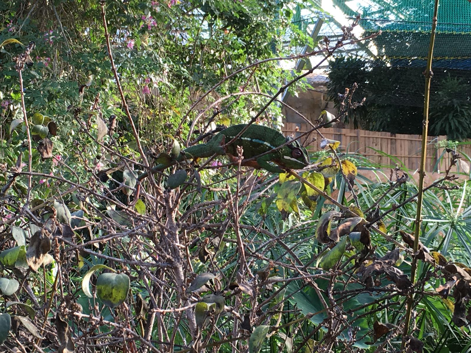 Photo n° 4 de l'avis de Laure-Hélène.r fait le 11/11/2018 à 19:49