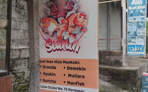 Umah Koki Siulan (Siulan Goldfish) image