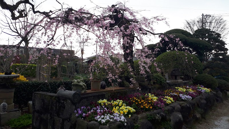 吉川植物園
