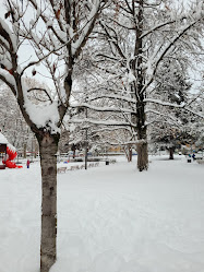 Parc de la Planta