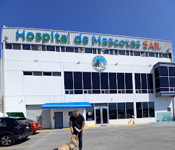 Hospital de Mascotas SAJI photo