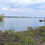 Photo n° 5 de l'avis de Guilou.e fait le 17/05/2021 à 20:08 pour Observatoire ornithologique de Chantecoq à Giffaumont-Champaubert