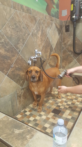 Pet Store «Pet Valu», reviews and photos, 378 Kelly Rd, Vernon, CT 06066, USA