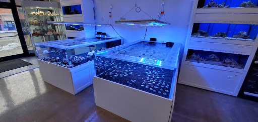 Tropical Fish Store «Old Town Aquarium», reviews and photos, 1538 N Wells St, Chicago, IL 60610, USA