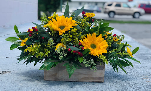 Florist «Hobby Hill Florist Inc», reviews and photos, 541 N Ridgewood Dr, Sebring, FL 33870, USA