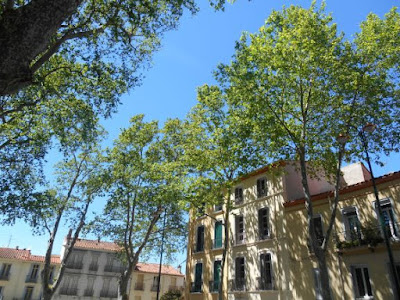 AGENCE IMMOBILIERE DADA à Céret