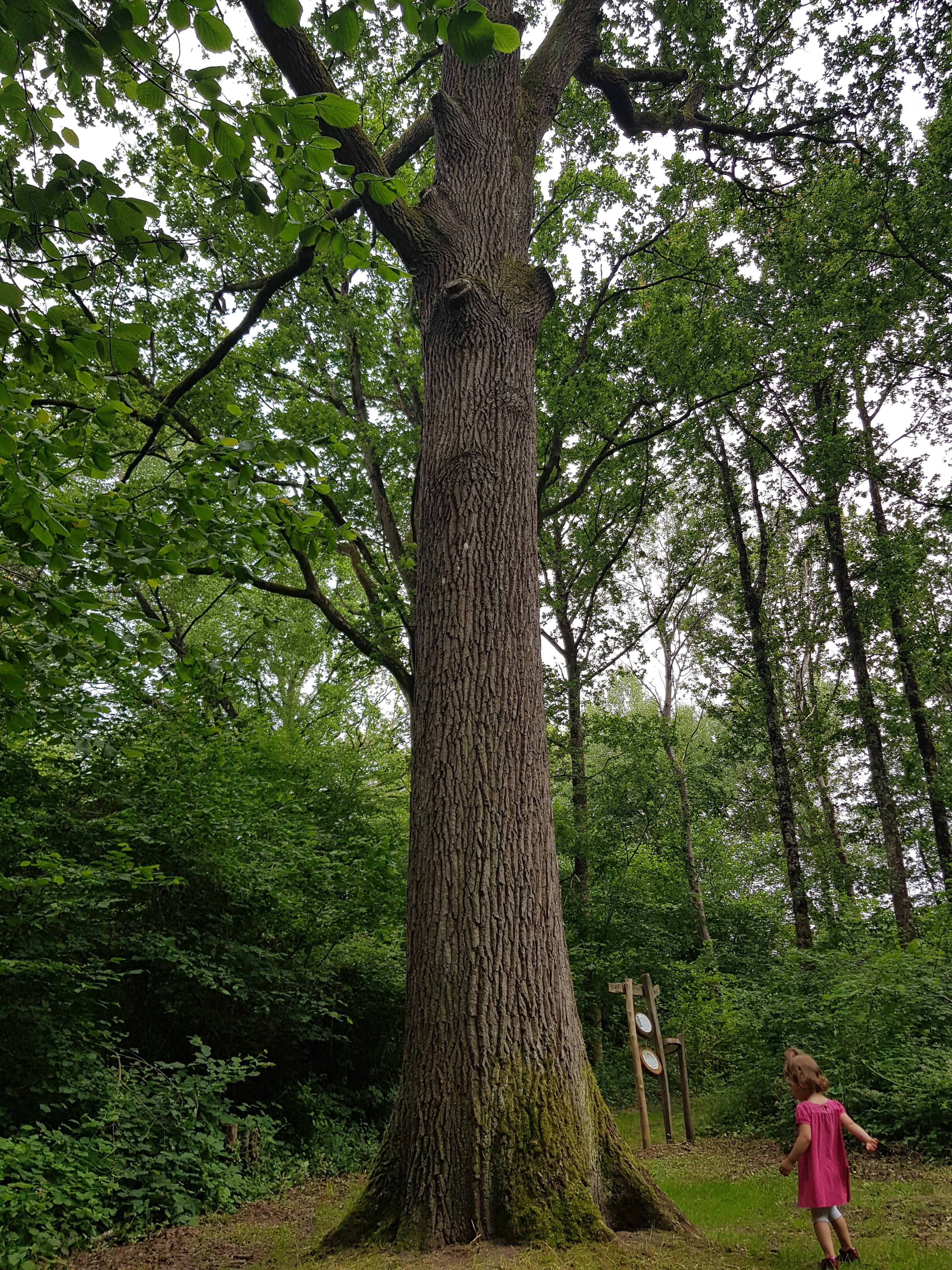 Photo n° 3 de l'avis de Mélodie.u fait le 25/06/2021 à 14:42
