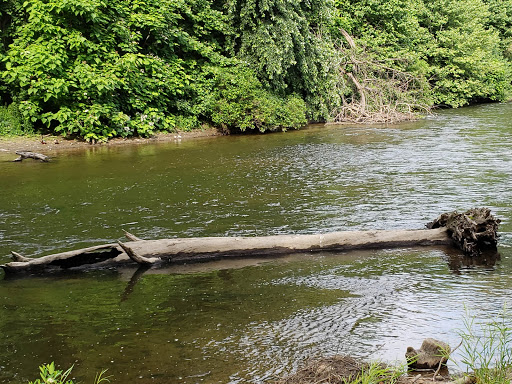 Public Swimming Pool «Water Works Family Aquatic Center», reviews and photos, 2025 Munroe Falls Ave, Cuyahoga Falls, OH 44221, USA