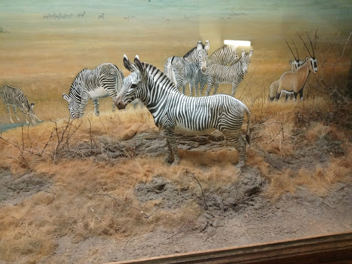 Science Museum «Buffalo Museum of Science», reviews and photos, 1020 Humboldt Pkwy, Buffalo, NY 14211, USA