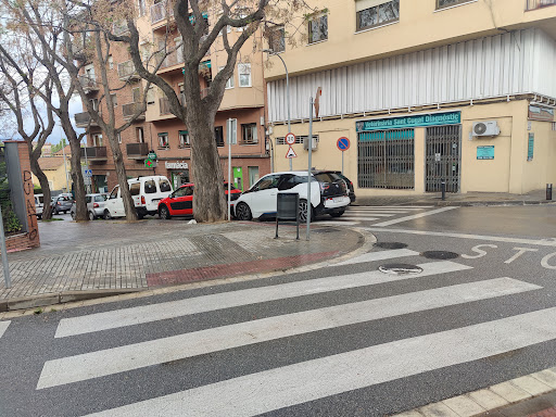 Veterinaria Sant Cugat Diagnòstic en Sant Cugat del Vallès