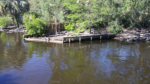Zoo «St. Augustine Alligator Farm Zoological Park», reviews and photos, 999 Anastasia Blvd, St Augustine, FL 32080, USA
