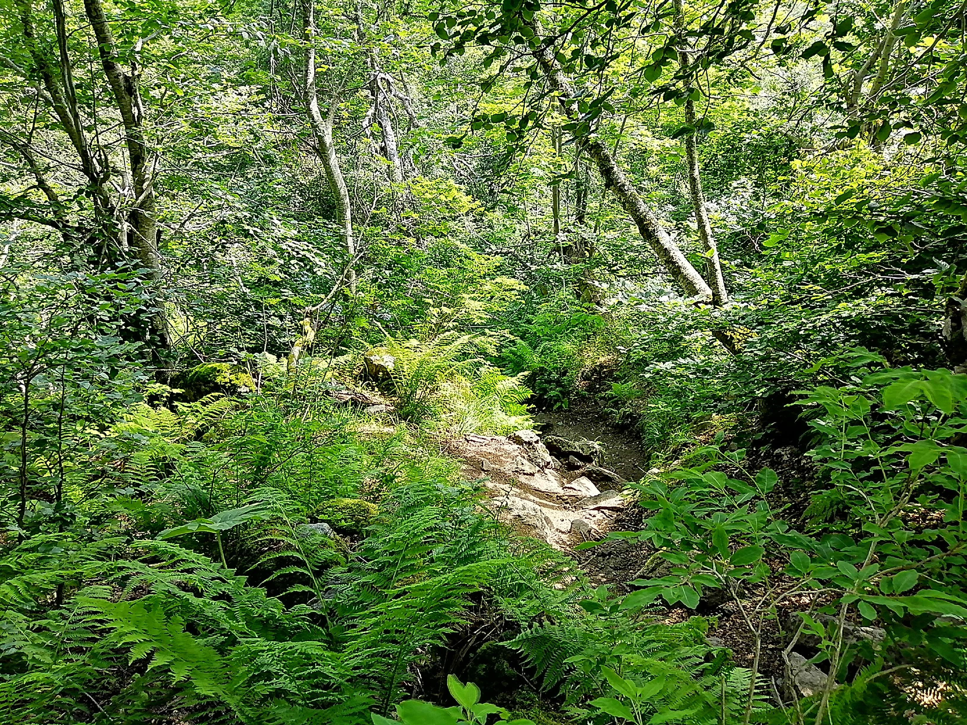 Photo n° 8 de l'avis de benoit.a fait le 12/07/2021 à 14:14