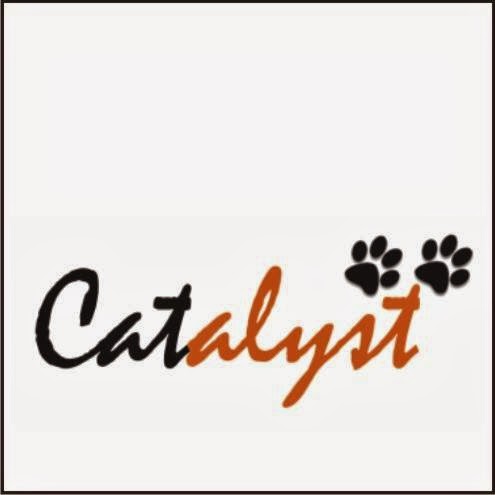 Catalyst Consulting Services