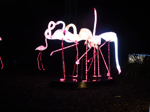 Tourist Attraction «Elephant Trails», reviews and photos, 3001 Connecticut Ave NW, Washington, DC 20008, USA