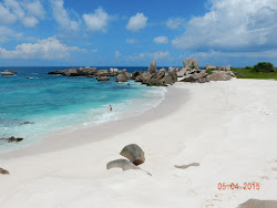 Foto di Spiaggia Anse Marron ubicato in zona naturale