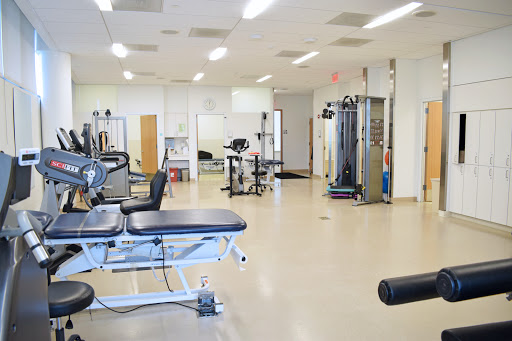 Physical therapist New Haven