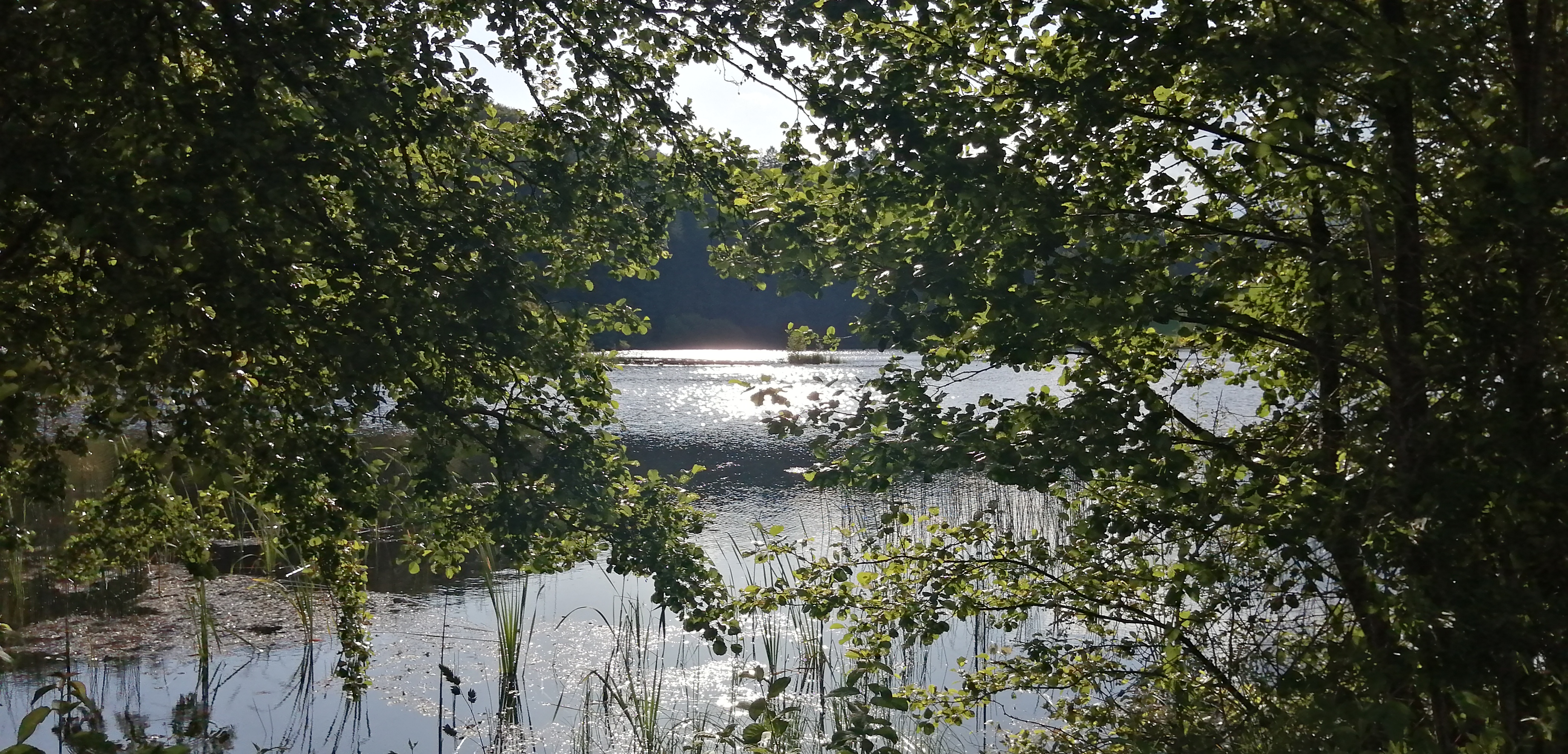 Photo n° 8 de l'avis de Agnès. fait le 06/07/2023 à 19:53