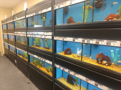 Pet Supply Store «Petco Animal Supplies», reviews and photos, 3150 Erie Blvd E #500, Syracuse, NY 13214, USA