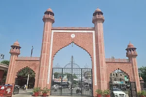 Centenary Gate, Aligarh Muslim University image