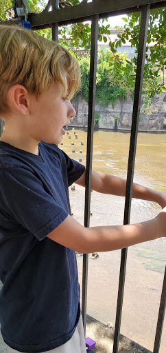 Bridal Shop «Bridal Boutique & Tux Shoppe», reviews and photos, 125 W Main St, Prattville, AL 36067, USA