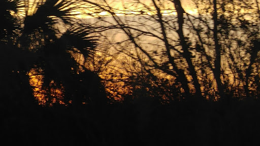 Nature Preserve «Scottsmoor Flatwoods Sanctuary East», reviews and photos, 6000 Magoon Ave, Mims, FL 32754, USA