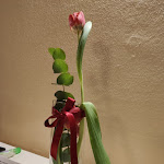 Photo n°7 de l'avis de Mattia.o fait le 17/02/2022 à 12:26 sur le  All'Antico Girone à Castelfranco Veneto