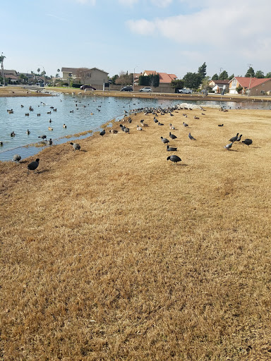 Park «Greer Park», reviews and photos, 6900 W McFadden Ave, Huntington Beach, CA 92647, USA