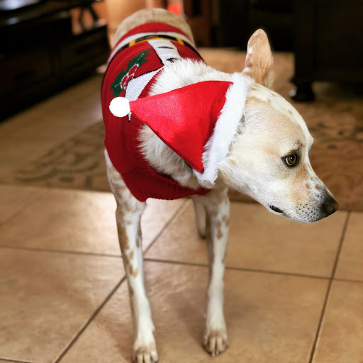 745 W Baseline Rd # 23, Mesa, AZ 85210, USA