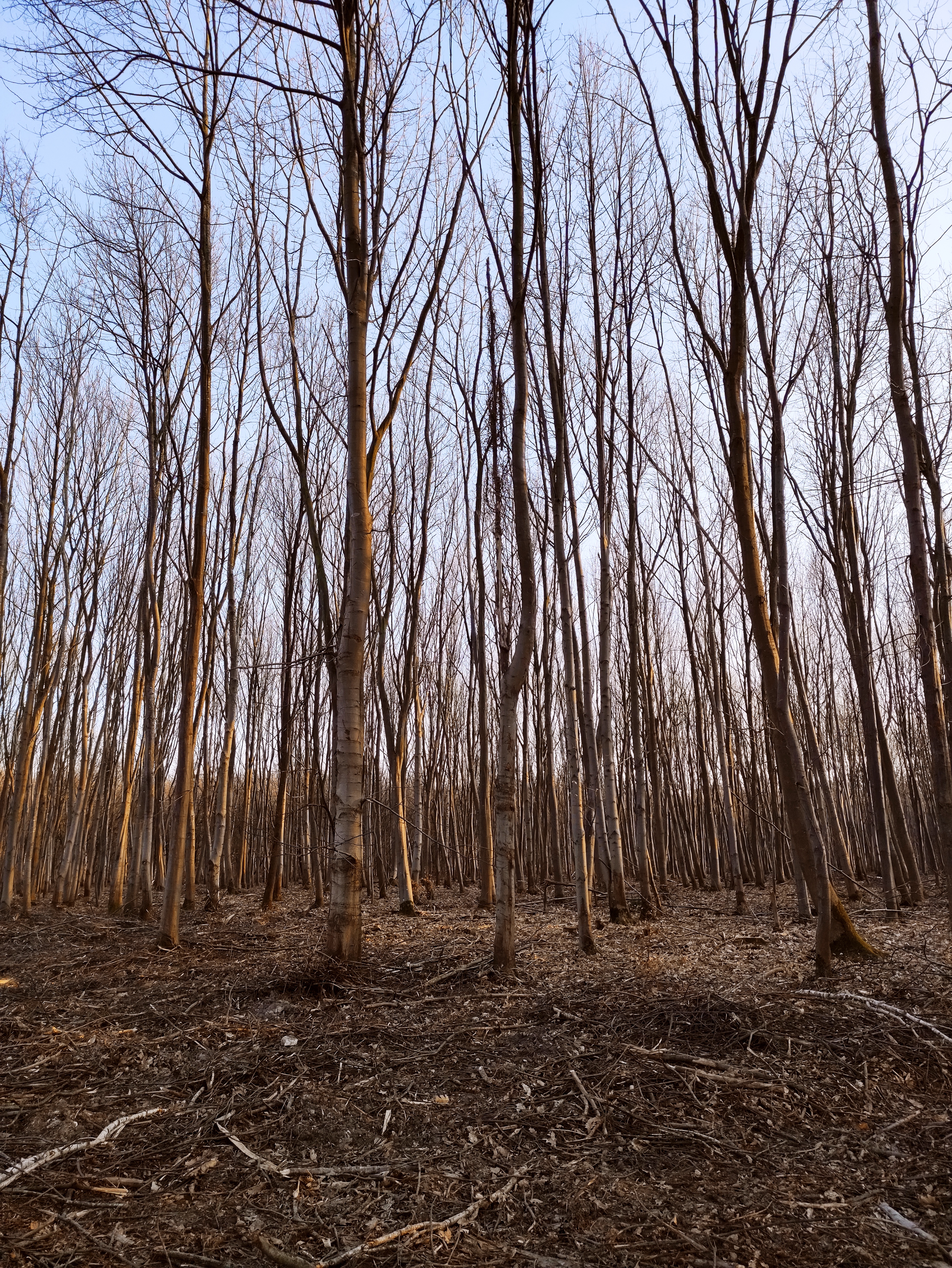 Photo n° 1 de l'avis de Alicia.� fait le 20/03/2021 à 22:35