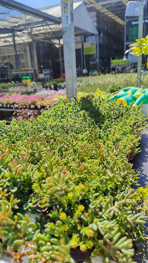 Home Improvement Store «The Home Depot», reviews and photos, 200 Altama Connector, Brunswick, GA 31520, USA