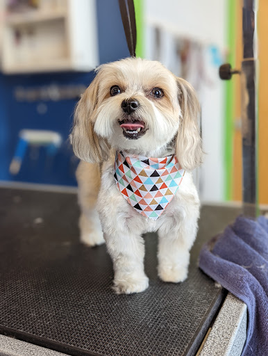 Pet Store «Healthy Pets Mountain West», reviews and photos, 2352 Fort Union Blvd, Cottonwood Heights, UT 84121, USA