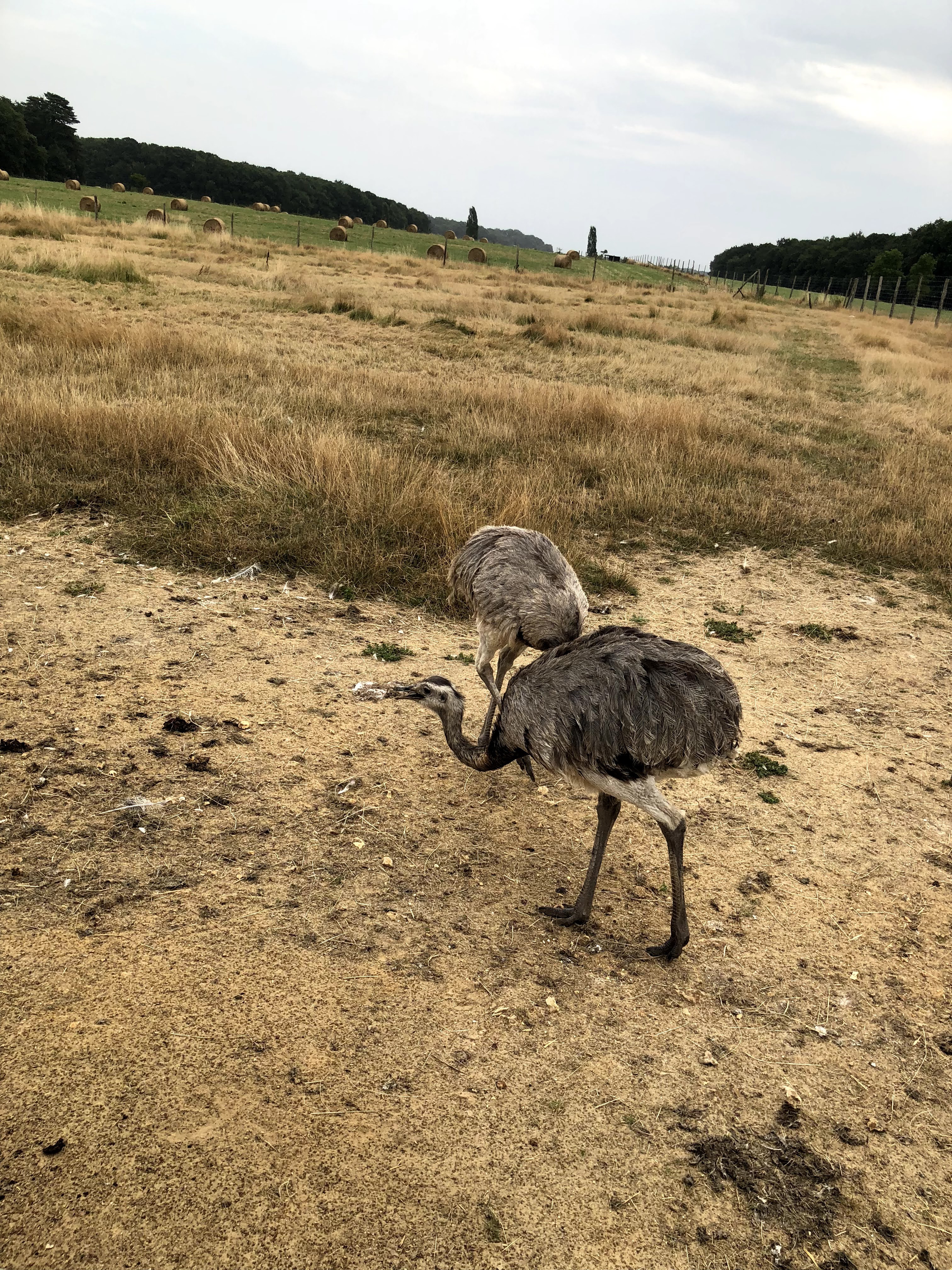 Photo n° 6 de l'avis de Julien.o fait le 27/07/2018 à 17:41
