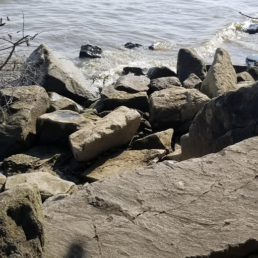 National Park «Fort Hunt Park», reviews and photos, 8999 Fort Hunt Rd, Alexandria, VA 22308, USA