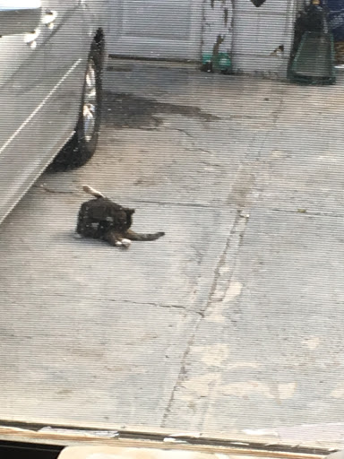 Bowling Alley «Bowlero Queens», reviews and photos, 69-10 34th Ave, Woodside, NY 11377, USA