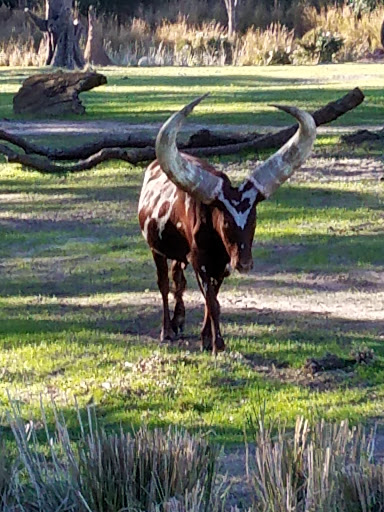 Performing Arts Theater «Blue Man Group», reviews and photos, 6000 Universal Blvd, Orlando, FL 32819, USA