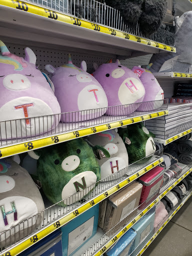 Variety Store «Five Below», reviews and photos, 1630 Scenic Hwy S, Snellville, GA 30078, USA