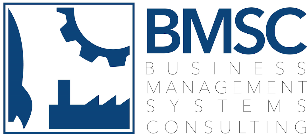 Business Management Systems Consulting, LLC