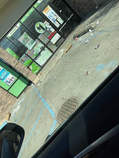 Dollar Store «Dollar Tree», reviews and photos, 15004 115th Dr, Jamaica, NY 11434, USA