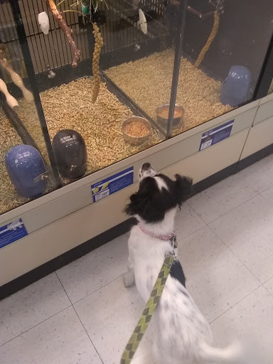 Pet Supply Store «PetSmart», reviews and photos, 105 Wagner Rd, Monaca, PA 15061, USA