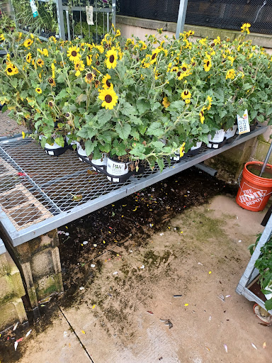 Home Improvement Store «The Home Depot», reviews and photos, 1624 E 165th St, Hammond, IN 46320, USA