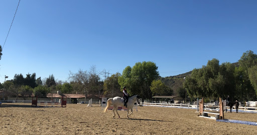 Jane McLoud Dressage